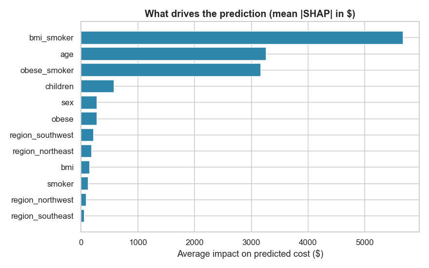 Feature importance for predicted medical cost